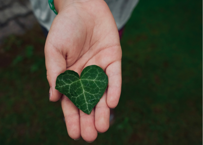 avoir un regard positif sur la vie pour rebondir